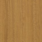 Шогун AC 0049197.jpg